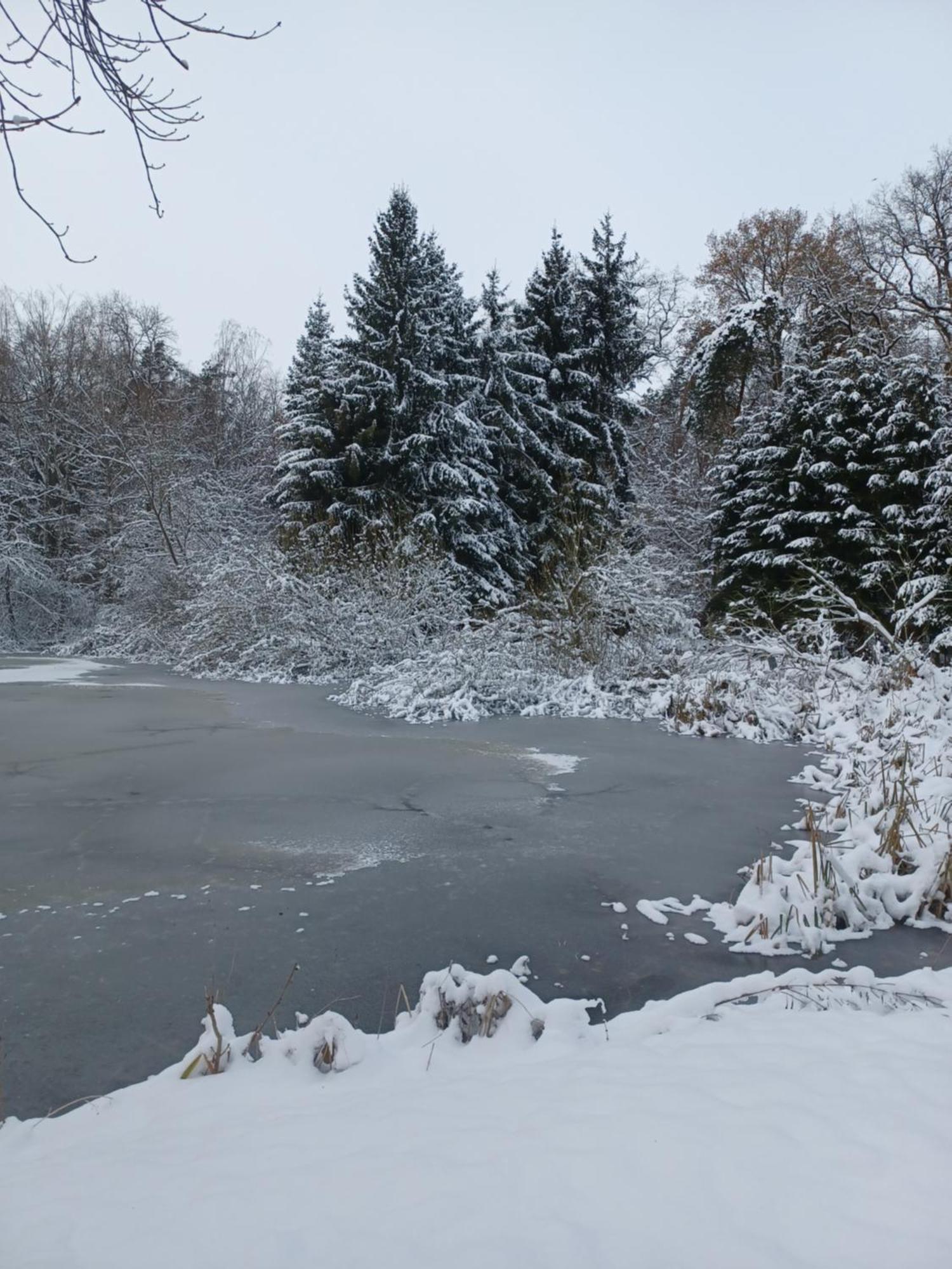 Waldblick Villa Cavertitz Buitenkant foto